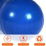 Kynobaby Peanut Ball for Expecting Moms – Improves Birthing Positions, Boosts Energy & Comfort During Labor – Strong PVC, Easy to Clean & Inflate - الصورة 4