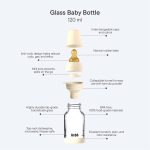 Bibs Heat Resistant Designed With Anti-Colic Function Baby Glass Bottle Complete Set - 120ml - Image 10