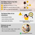 LiceTec V-Comb Scalp Electric Lice Comb Vacuum - Image 3