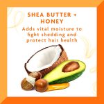 ⁦Cantu Hydrating Shea Butter w/ Honey Styling Gel - 524g⁩ - الصورة ⁦5⁩