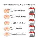 Greenatva Teething Relief Roll On - 10ml - Image 4