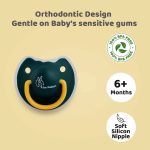 R for Rabbit Tusky Pacifier - L - 6m+ - Green - Image 3