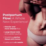 Nua Postpartum Comfort Pants 360° Protection For Heavy Flow (Pack of 5) - XXL-XXXL - Image 3