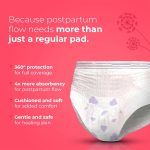 Nua Postpartum Comfort Pants 360° Protection For Heavy Flow (Pack of 5) - XXL-XXXL - Image 4