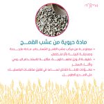 ⁦MIMA Eco Detangler Brush for kids -Dew Mint⁩ - الصورة ⁦3⁩