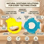 ⁦Wee Baby Silicone Teether (4M+) – BPA-Free Soft Chew Toy for Soothing Gums⁩ - الصورة ⁦2⁩