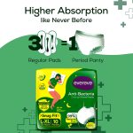 ⁦Evereve Anti-Bacterea Overnight Period Panties - 10 panties - L-XL⁩ - الصورة ⁦3⁩
