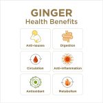 The Ginger People Gin Gins Chewy Ginger Candy Original 2.1 oz (60 g) - Image 5