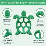 Chic Buddy Turtle Teether Gentle Relief for Tiny Gums 3+ - Image 3
