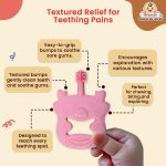 Infantso  Bear Silicone Teether 4m+ Gentle Relief for Tiny Gums - Image 4