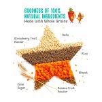 Timios Melts Whole Grain Snack - Carrots & Cumin 50g - Image 2