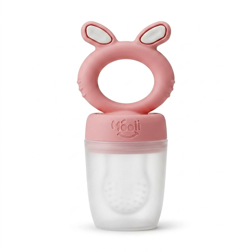 10000502733-2 Mooli Baby Fruit Feeder 100% Silicon - 4m+ - Image 1