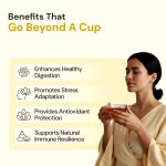 Maharishi Ayurveda Tulsi Lemon Ginger - 20 Teabags - Image 3