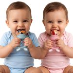 Mooli Baby Fruit Feeder 100% Silicon - 4m+